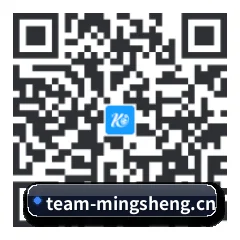 系统版 iOS 二维码